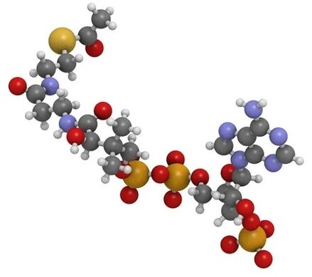 Το zxcvbnmqwert περιέχει q10 coenzyme